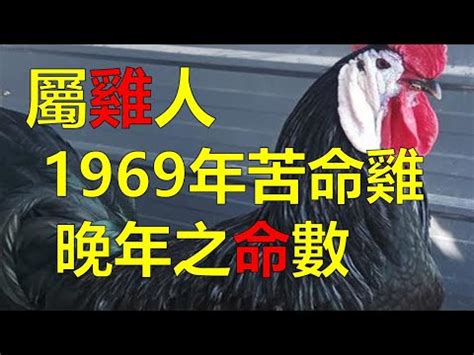 75年次生肖屬什麼